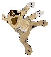 Sungraze/Mockingbird's Butterblossom — “Butterblossom”