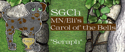 Profile image of MN/Eli's Carol of the Bells