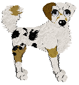 SOX/Eli's Everlasting Sighs — “Tuck”