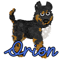 Profile image of Amphigory Written In The Stars at Opolire