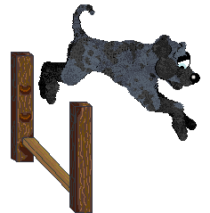 Eli's Shameless Cavorting — “Waltz”