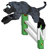 Eli's Shameless Cavorting — “Waltz”