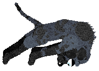 Eli's Shameless Cavorting — “Waltz”