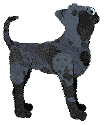 Eli's Shameless Cavorting — “Waltz”