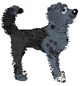 Amenity's In Cold Blood — “Capote”