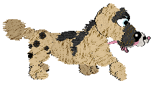 Funfetti/Witz's Personal Philosophy — “Scrunchion”