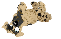 Funfetti/Witz's Personal Philosophy — “Scrunchion”
