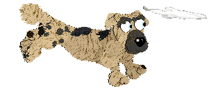 Funfetti/Witz's Personal Philosophy — “Scrunchion”
