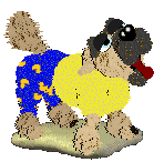 Funfetti/Witz's Personal Philosophy — “Scrunchion”