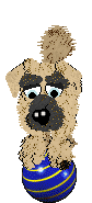 Funfetti/Witz's Personal Philosophy — “Scrunchion”