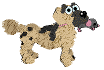 Funfetti/Witz's Personal Philosophy — “Scrunchion”