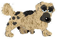 Funfetti/Witz's Personal Philosophy — “Scrunchion”