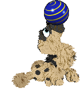 Funfetti/Witz's Personal Philosophy — “Scrunchion”