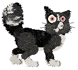 Calluna/Witz's Fire & Spice — “Minnie”