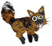 Profile image of Calluna/Alohomora’s Allspice No Brain