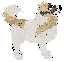 Cirrutopia's Thunder Road — “Thunder”