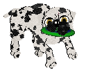 Amenity/King's Lord Puggington Wrigglesworth III — “Puggington”