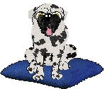 Amenity/King's Lord Puggington Wrigglesworth III — “Puggington”