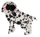 Amenity/King's Lord Puggington Wrigglesworth III — “Puggington”