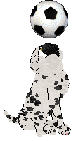 Amenity/King's Lord Puggington Wrigglesworth III — “Puggington”