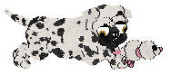 Amenity/King's Lord Puggington Wrigglesworth III — “Puggington”