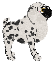 Amenity/King's Lord Puggington Wrigglesworth III — “Puggington”
