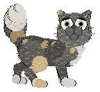 Profile image of Medusa's Out Of Sight