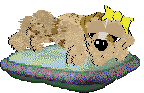 Funfetti/Poppyhill's Breakfast of Tiffins — “Touton”