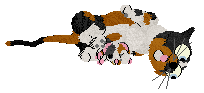 Calluna's Sweet Sorrento Moon — “Portia”