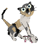 Cargo/Calluna's She Sells Sea Shells — “Seychelles”