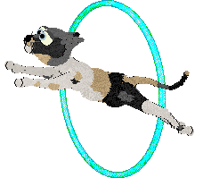 Cargo/Calluna's She Sells Sea Shells — “Seychelles”