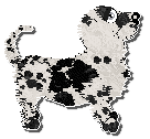 Profile image of Perfume Of Dreams