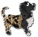 Profile image of Perfume Under Rocks Or Broken Skull