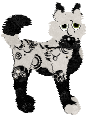 Shazz/Eli's Will You Look Into The Mirror — “Insanum”