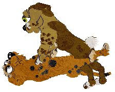 Tourniquet/Eli's Viva La Lida — “Lida”