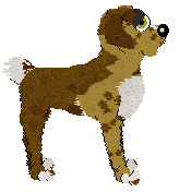 Tourniquet/Eli's Viva La Lida — “Lida”