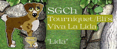 Profile image of Tourniquet/Eli's Viva La Lida