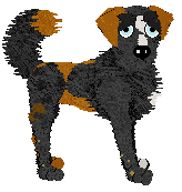 Eli's Levavi Oculos — “Auriel”