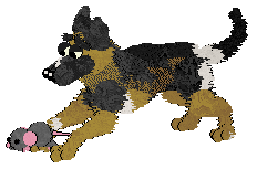 Zan/Poppyhill's Bodak Yellow — “Kodak”