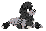Profile image of FK's Moonless Night