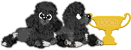 Profile image of Xoops' Who Would Fardels Bear? at SzK
