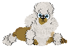Profile image of Xoops/FDL's Shall I Compare Thee