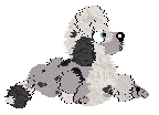 Profile image of Xoops/King's Will-O’-The-Wisp