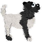 PH/FDL's Era of Good Feelings — “Monroe”