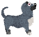 Profile image of Xoops/King's Fine and Dandy