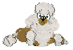 Profile image of FK's Sip, Sparkle, Shine