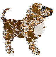 Opolire Starstruck Serenade — “Cassian”