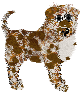 Opolire Starstruck Serenade — “Cassian”