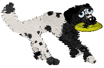 Cirrutopia's Unusual Suspects — “Ice-T”