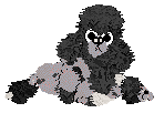 Profile image of Xoop’s/Amphigory’s Fourth Act at Midnight